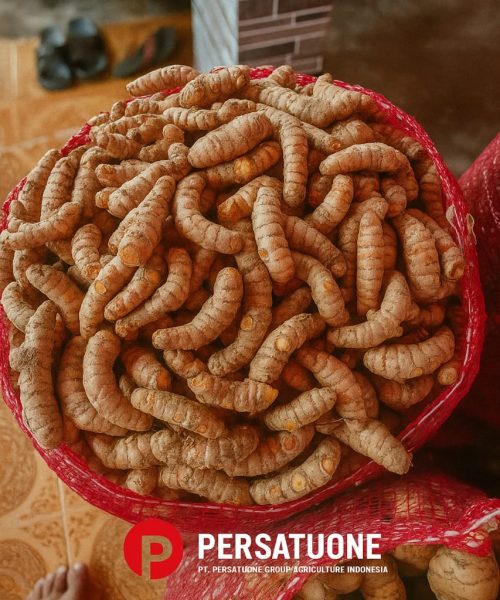 WhatsApp Image 2025-08-29 at 16.19.29