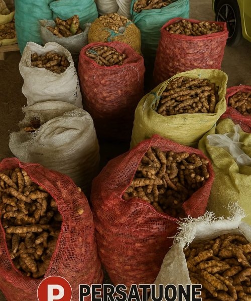 WhatsApp Image 2025-08-29 at 16.19.34 (1)