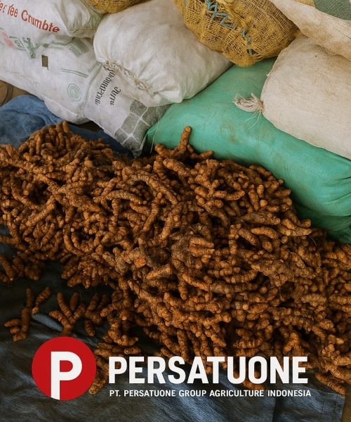 WhatsApp Image 2025-08-29 at 16.19.34 (2)