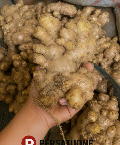 WhatsApp Image 2025-08-29 at 16.19.41 (2)