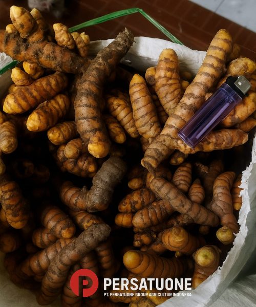 WhatsApp Image 2025-08-29 at 16.19.42 (1)