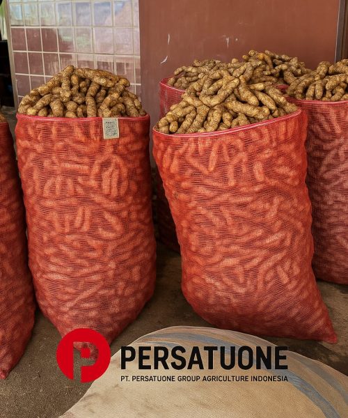 WhatsApp Image 2025-08-29 at 16.19.42