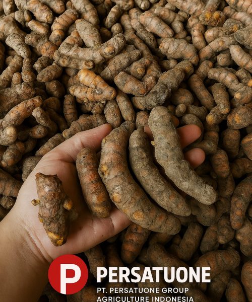 WhatsApp Image 2025-08-29 at 16.19.43